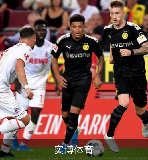 关于实博体育